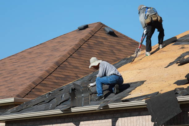 Best Sheet Metal Roofing  in Cherry Valley, IL